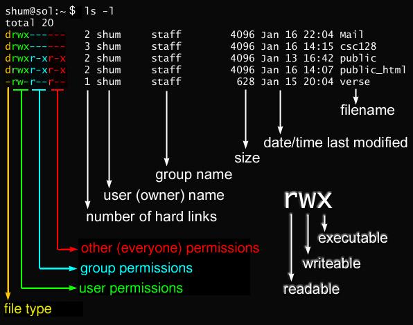 Guia Completo sobre o Comando chmod no Linux: Gerencie Permissões de Arquivos e Diretórios